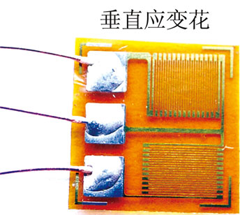 BSF120-2BB-T常溫雙軸應變片.jpg